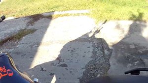 Бенелли 600 gt. Отзыв спустя 6000 км.