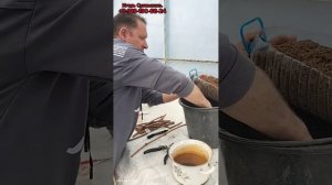 Самое лёгкое укоренение винограда. Игорь Сулименко  +7-918-190-68-24