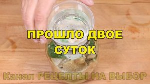 ГРУЗДИ СОЛЕНЫЕ деревенский рецепт ! СУПЕР грибы на зиму !