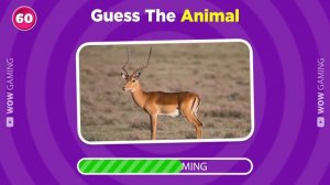 Guess 120 Animals in 3 Seconds - Ultimate Animal Quiz | Easy, Medium, Hard, Impossible