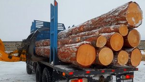 Фронтальный погрузчик разгружает лес