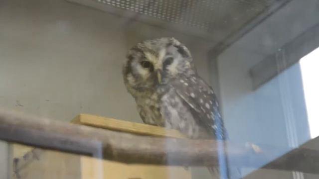 Арт-панорама. Группа №31. Автор: Дмитрий Зайцев смотреть онлайн