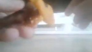 Кашалот против гигантский кальмар гумбольта