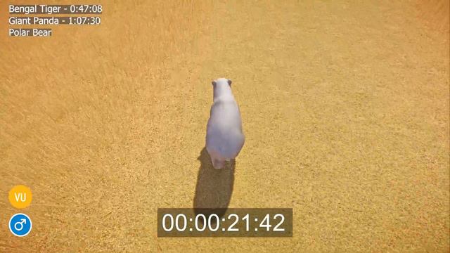 Well Known Zoo Animals Speed Races in Planet Zoo included Tiger, Panda, Bear, Lion, Kangaroo смотреть онлайн