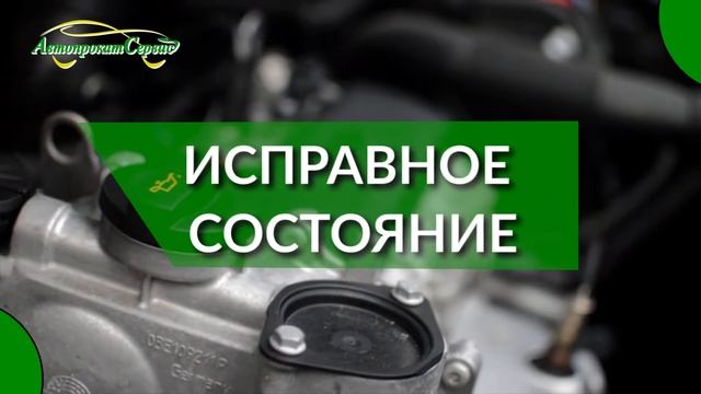 Автопрокат Сервис (Краснодар)