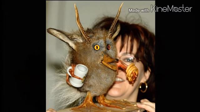 Неизвестные Животные Планеты Земля 133 - Джекалоп (Кролень, Рогатый Заяц) смотреть онлайн