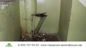 Тараканы ползут от соседей. Что делать?