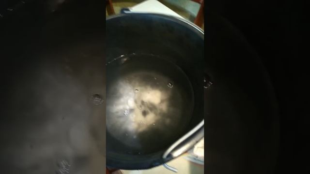 Лук вырастет без стрелок и луковой мухи! #садоводство #лук смотреть онлайн