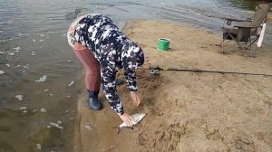 Рыбалка на Оке  -  Дмитриевы горы, большие лещи на фидерную удочку