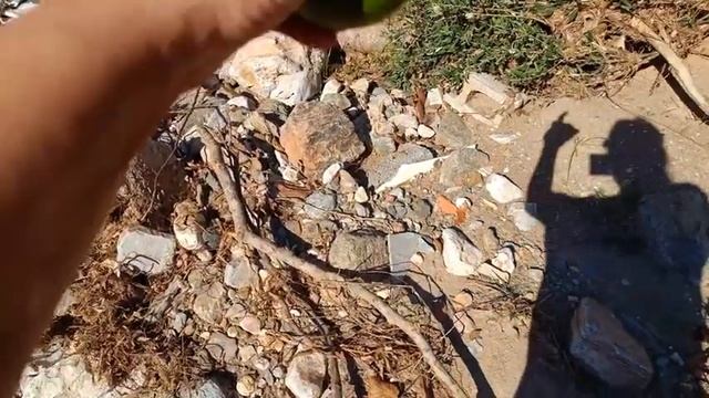 ПРОВОДИМ ВОДУ В ДОМ. А Я ЛЕНТАЙНИЧАЮ смотреть онлайн