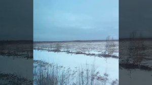 Прокатился с юга на север острова на поезде. В новых вагонах РЖД