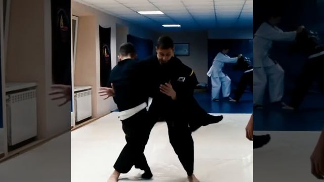 Семинар в Международном Центре Боевых Искусств Синтез 15.12.19 смотреть онлайн