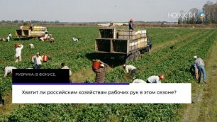 Рубрика: В фокусе. Хватит ли российским хозяйствам рабочих рук в этом сезоне?