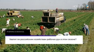 Рубрика: В фокусе. Хватит ли российским хозяйствам рабочих рук в этом сезоне?