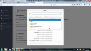 Как очистить историю в Mozilla Firefox