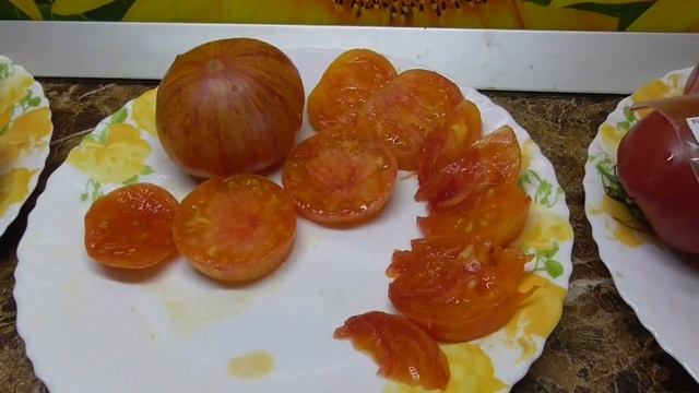 Томат Индейская резервация - экзотическая вкуснятина!