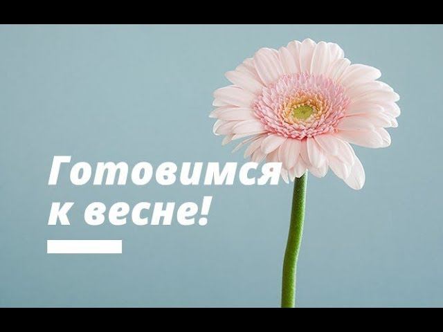 Готовимся к весне заранее //Не повторяем моих ОШИБОК