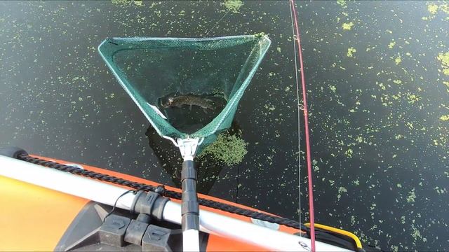 Утренняя рыбалка на Solar 350 смотреть онлайн