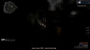 S.T.A.L.K.E.R. l КУКЛА ВУДУ l Канувшие в небытие #3
