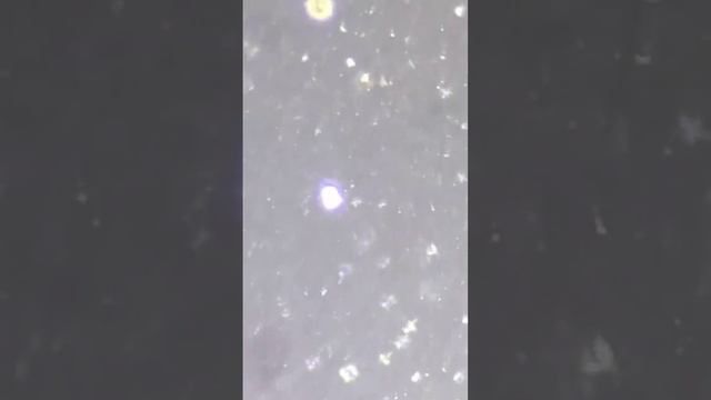 Super Slow Motion, Filmed with Telescope 700mm, eyepiece 10mm, optical zoom 70x