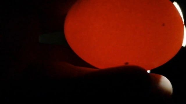 Овоскопирование куриных яиц на 6 и 11 день. Неоплодное яйцо и с кровяным кольцом. смотреть онлайн