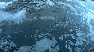 Курьяново или охота за язем!!!! Мормышинг в Москве!!