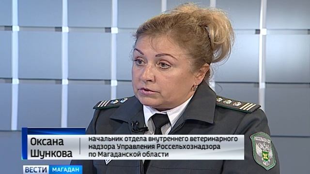 Медвежье мясо опасно: интервью