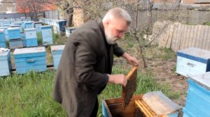 Дезинфекция улья Лучший способ оброботки улья Совет для начинающих пчеловодов