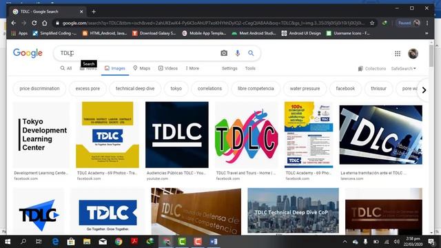 What is Software and its type-Categories of Java-SDLC-Model-Programming Language and its type