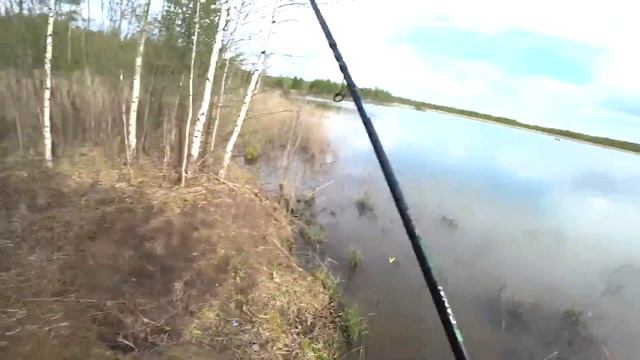 КАПРИЗНАЯ РЫБА В НЕ ПОГОДУ, ЧЕСНОК, АНИС ИЛИ КОНОПЛЯ, РЫБАЛКА С ТЁЗКОЙ НА КАРАСЯ! ДАЖЕ НИВЫ НЕ ИДУТ смотреть онлайн