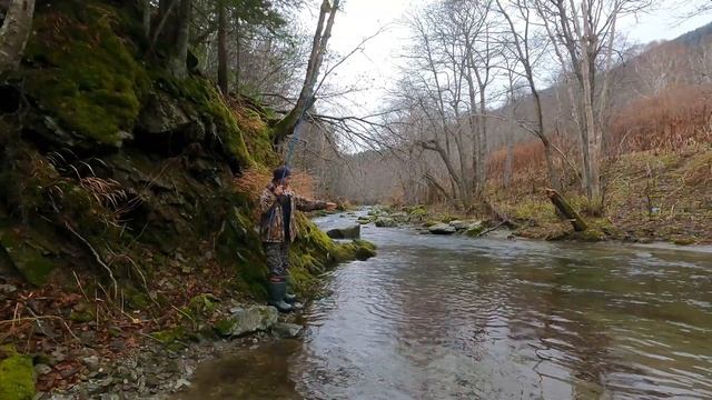 Ловля Мальмы На Горной Реке . Остров Сахалин. смотреть онлайн