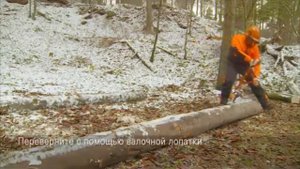 Как правильно делать поперечный распил древесины, лежащей горизонтально на земле