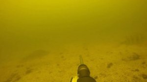 Подводная охота на карпа в реке Днепр, средина осени