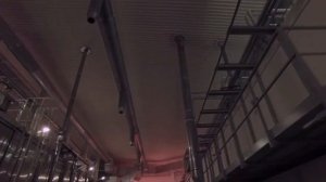 Экскурсия на фабрику МАКФА