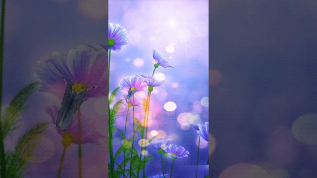 Яркого летнего дня! Прекрасного настроения! смотреть онлайн