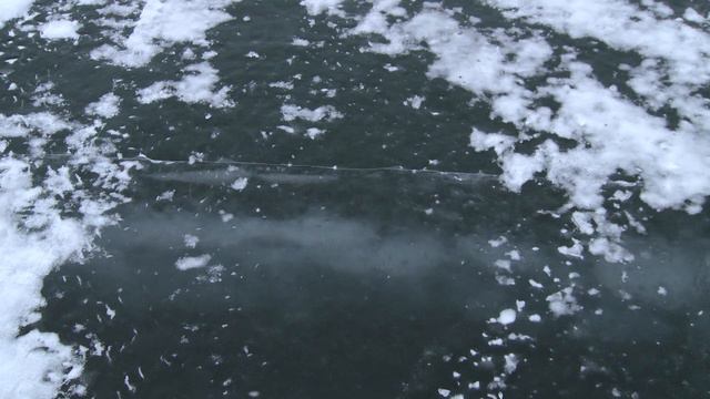 Организаторы Байкальской мили 12 дней убирали всю территорию. смотреть онлайн