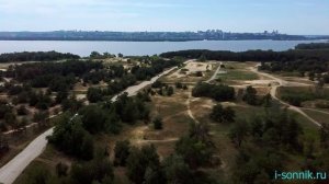 Много лягушек - толкование сонника