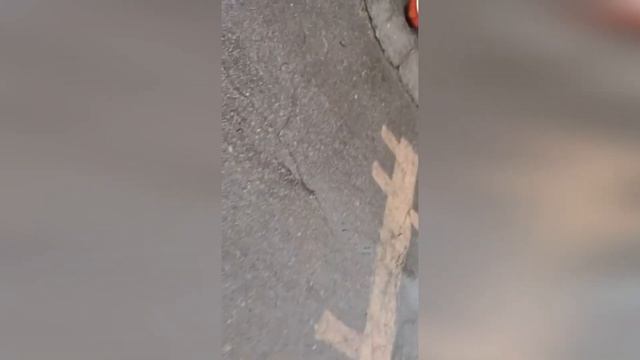 Степан-старичек из гаражей, что на въезде в приют. МЫ заботимся обо ВСЕХ собаках этого предприятия! смотреть онлайн