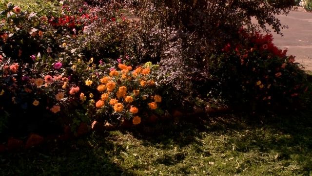 Суздаль. Васильевский монастырь смотреть онлайн