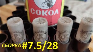#7.5/28 на Соколе и разных капсюлях. Анонс теста.