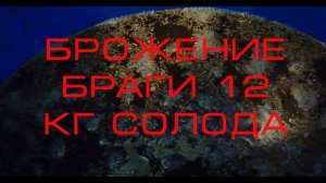 Брага на солоде после варки пива 7 день брожения