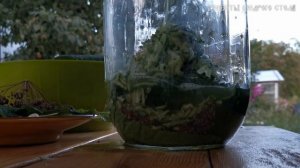 Огурцы в огурцах