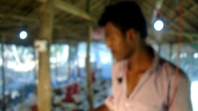 How To Start Latest Broiler Poultry Farming Business 2023 ।  Small Business Ideas From Home