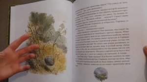 "Сережик" Елена Ракитина. Обзор-сравнений двух изданий книги.