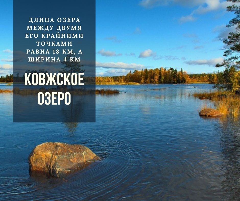 Лисёнок