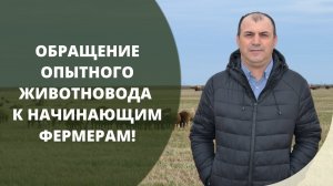 Обращение опытного животновода к начинающим фермерам.