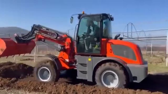 Телескопический погрузчик мамонт Everun 2500