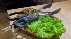 КОРЕЙСКИЙ ГРИЛЬ-РЕСТОРАН КИМЧИ. BBQ