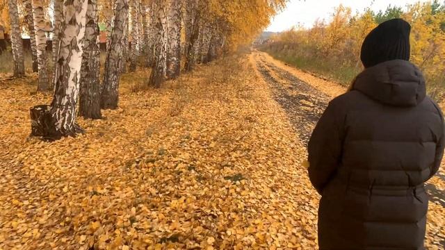 ПРЕКРАСНЫЕ ДЕРЕВЬЯ ОБЗОР ЛАНДШАФТНЫЙ ДИЗАЙН ИРГА , РЯБИНА , БЕРЕЗА,КАЛИНА,КЛЕН ФОРМИРОВАНИЕ