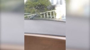 Idiots In Cars   Ridiculous Driver Fails of 2021